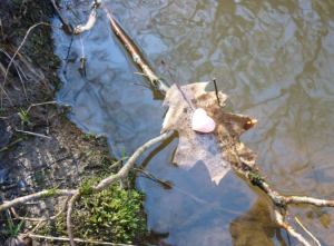 cleansing-in-water